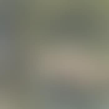 Sunrise (preview)