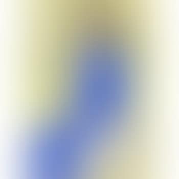 Portrait de jeune femme en bleu / Portrait of a lady who wears a blue dress (preview)