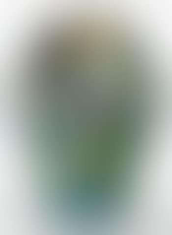 'Cypriote Peacock Feather' vase (preview)