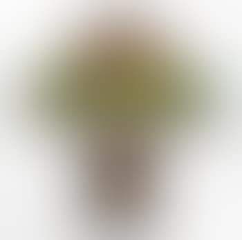 'Geranium' Table Lamp (preview)