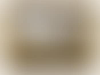 Vue du Forum à Rome (preview)