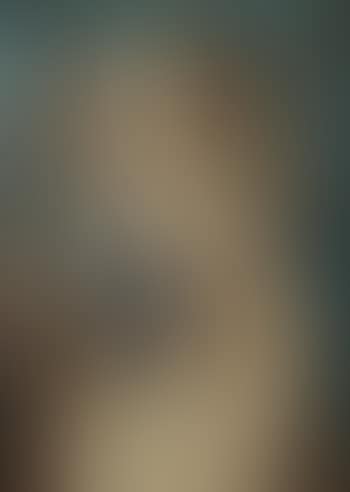 Spanish woman with a fan (preview)