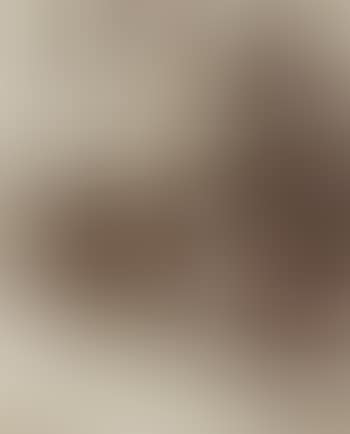 R des Canettes (preview)