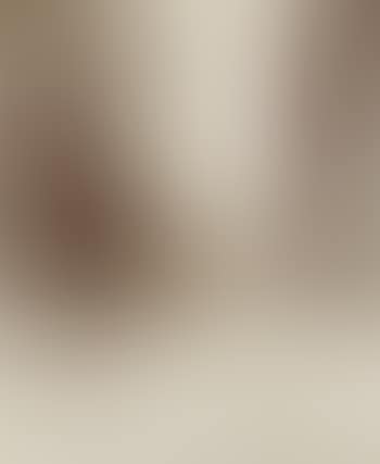 R Bernard Palissy (preview)