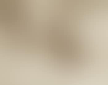 Bitumiers (preview)
