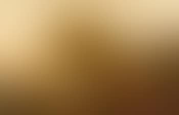 Vaches (preview)