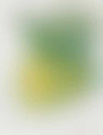 Pineapples (preview)