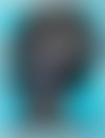 Untitled (dark face) (preview)
