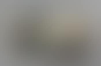 Fujikawa (preview)