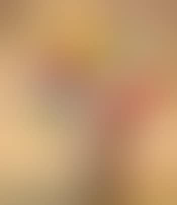 Sommerblumenstrauss (preview)