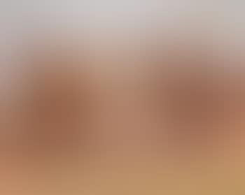 Bauer mit Arbeitspferden (preview)