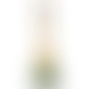 Vase with leaves (preview)