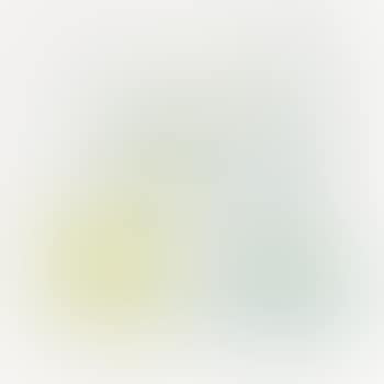 Frühlingswind (preview)