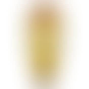 Gold Tel-el-Amarna vase (preview)