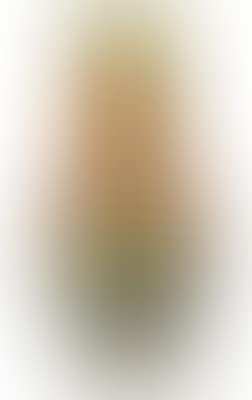 A vase with fruit-laden chestnut branches (preview)