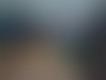Schweizer Berglandschaft (preview)