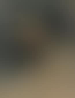 Unfinished portrait of a man (preview)