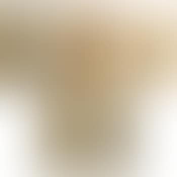 [Untitled] (preview)