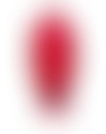 Ronces a Vase (preview)