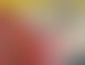 O.T. (preview)