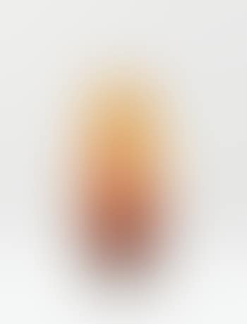 Vase Floriforme Picciola Ou Aux Fleurs Des Murailles (preview)