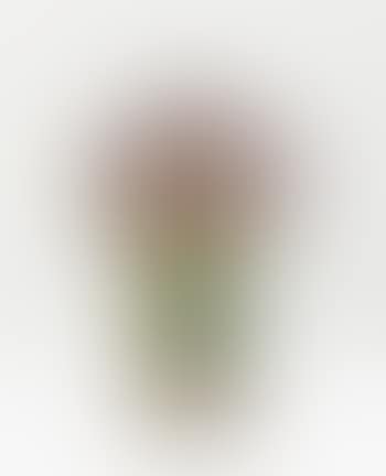Vase Sur Socle Grand Iris (preview)