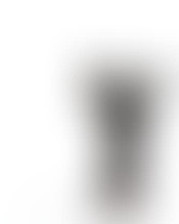 Le valet de chambre (preview)