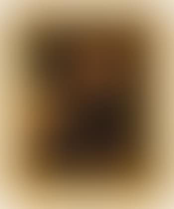 Portrait of Joseph M.W. Turner (preview)