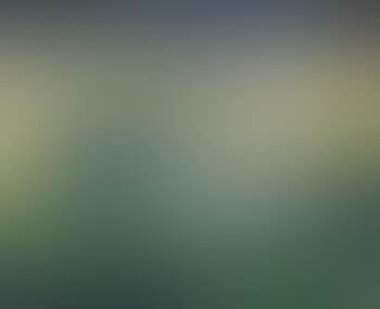 Grüne Küstenlandschaft mit Dampfer (preview)