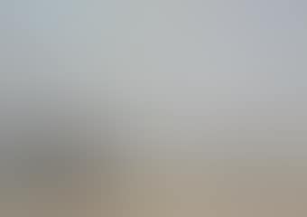 Berck, scène de plage (preview)