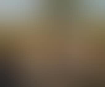 Baigneuses dans un paysage (preview)