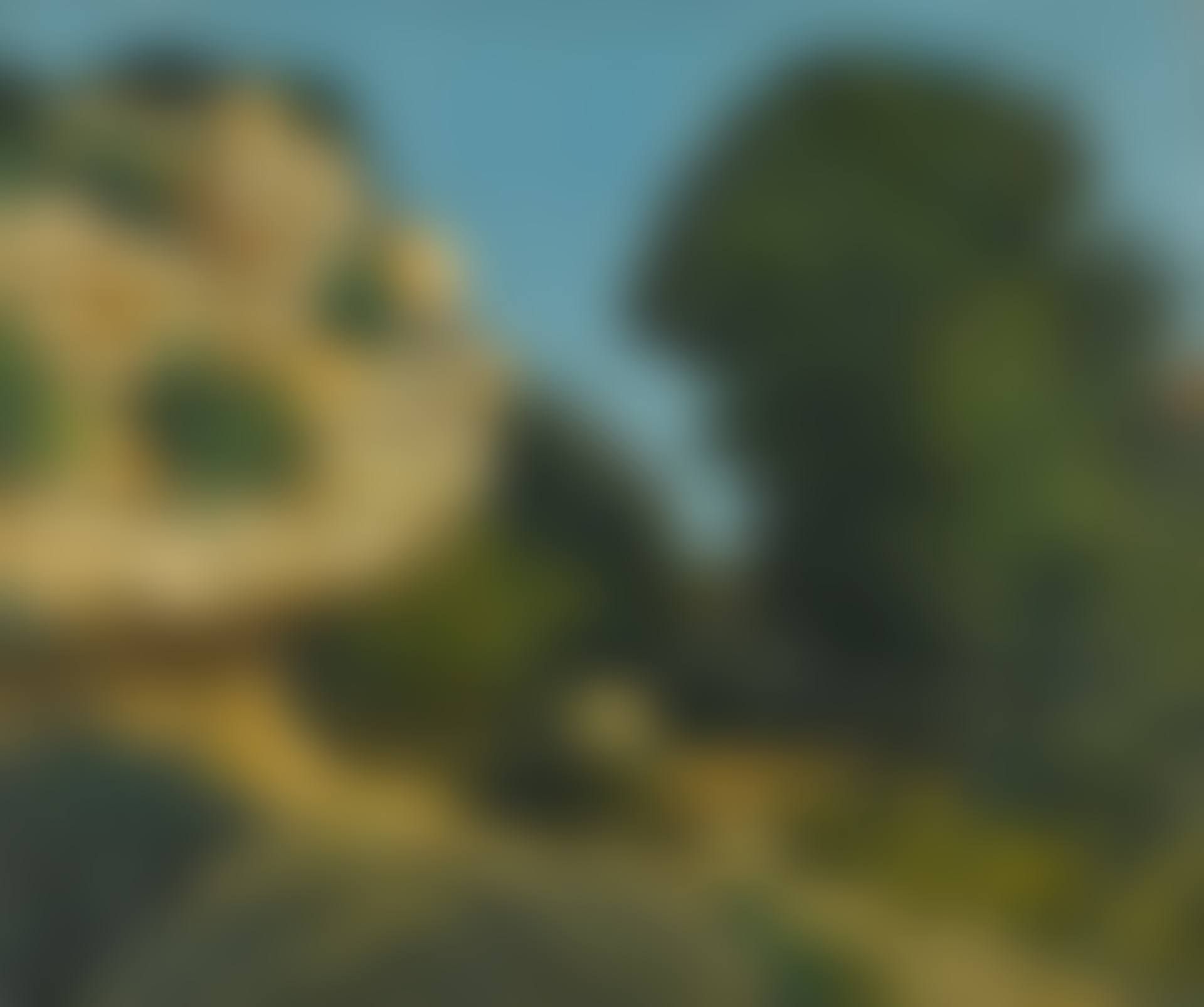 ROCHERS (preview)
