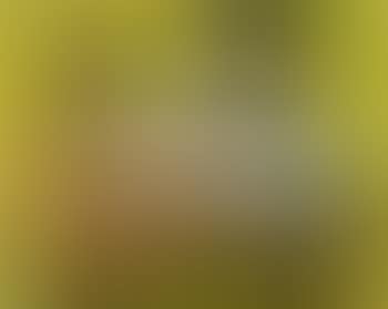 Nature Morte Aux Trois As (preview)