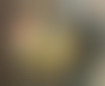Nature Morte Au Hareng (preview)