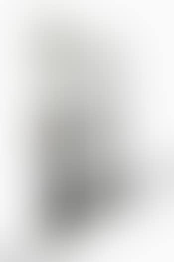 Paire De Portes De Service Et Leurs Poignées (preview)