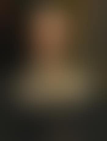 Portrait of a lady, bust length, in a black gown and linen partlet (preview)