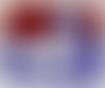 Abstract (preview)