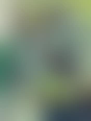 Composition (preview)