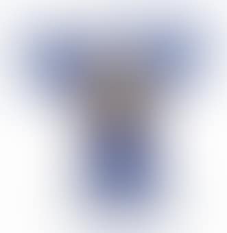 Oiseau amoureux (preview)