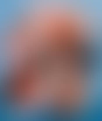 Composition (preview)