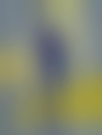 Costruzione TS6 (preview)