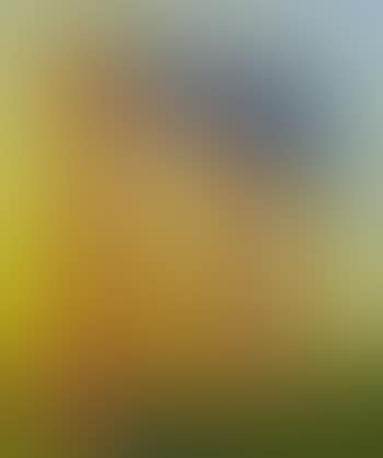 Tre colonne (preview)