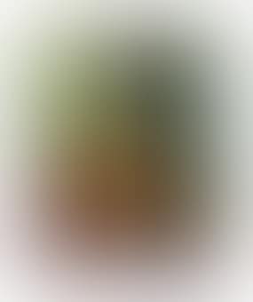 Nature morte aux fruits (preview)