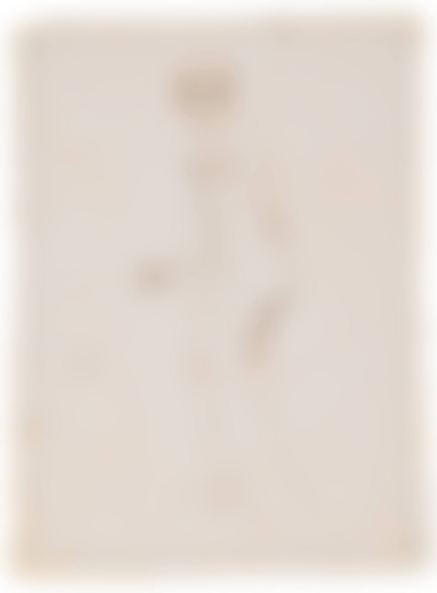 A STUDY OF A SCULPTED FEMALE NUDE, SEEN IN PROFILE, AFTER THE ANTIQUE (preview)