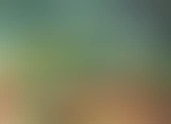 Paysage (preview)