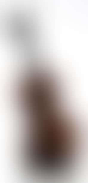 Violon coupé IV (preview)