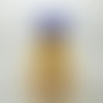 Sole Basso Vase (preview)