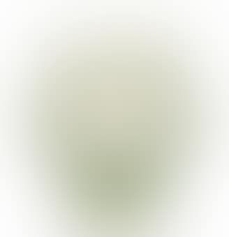 A Bresse Vase (preview)