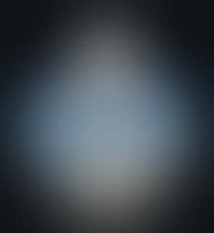 A Lievres Vase (preview)