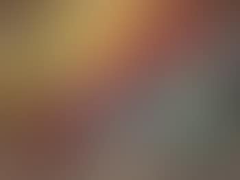 87014 (preview)